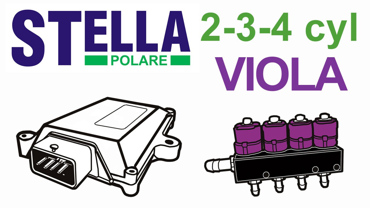 STELLA POLARE 2-4 C. VIOLA