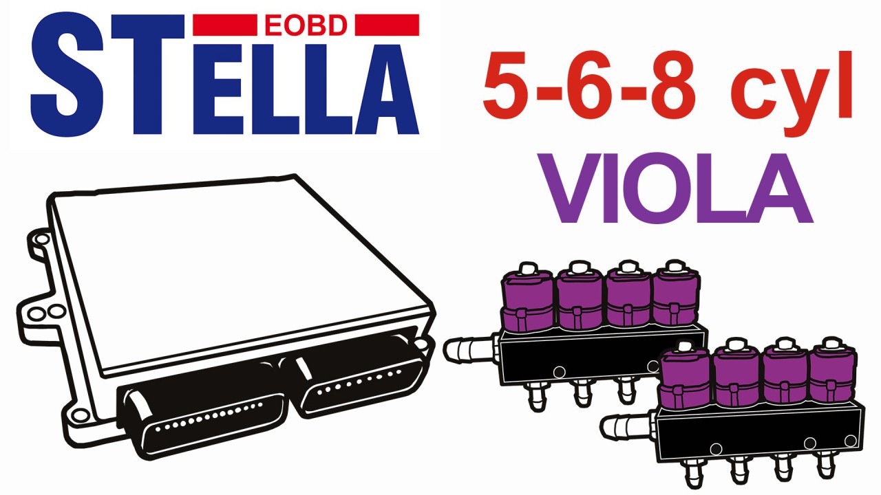 STELLA EOBD 5-8 C. VIOLA